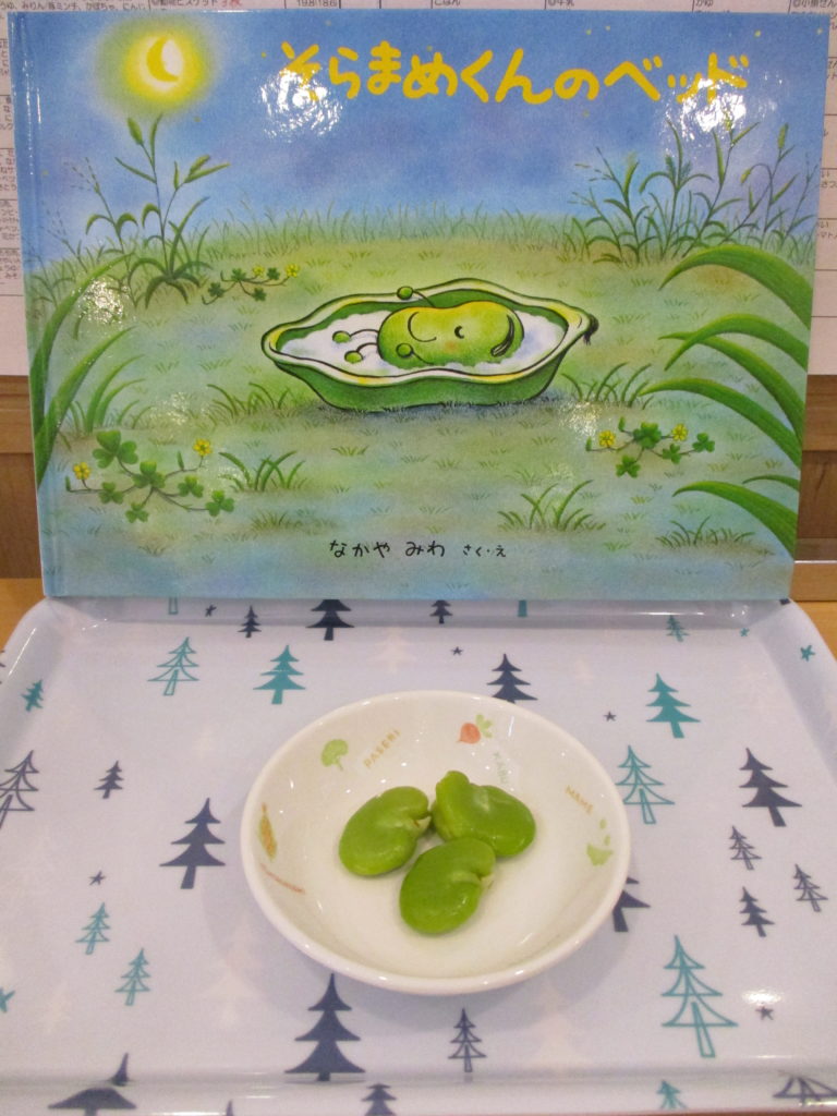 ☆食育～そらまめ～☆