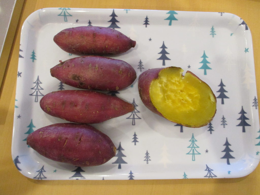 ☆食育～さつまいもの観察～☆