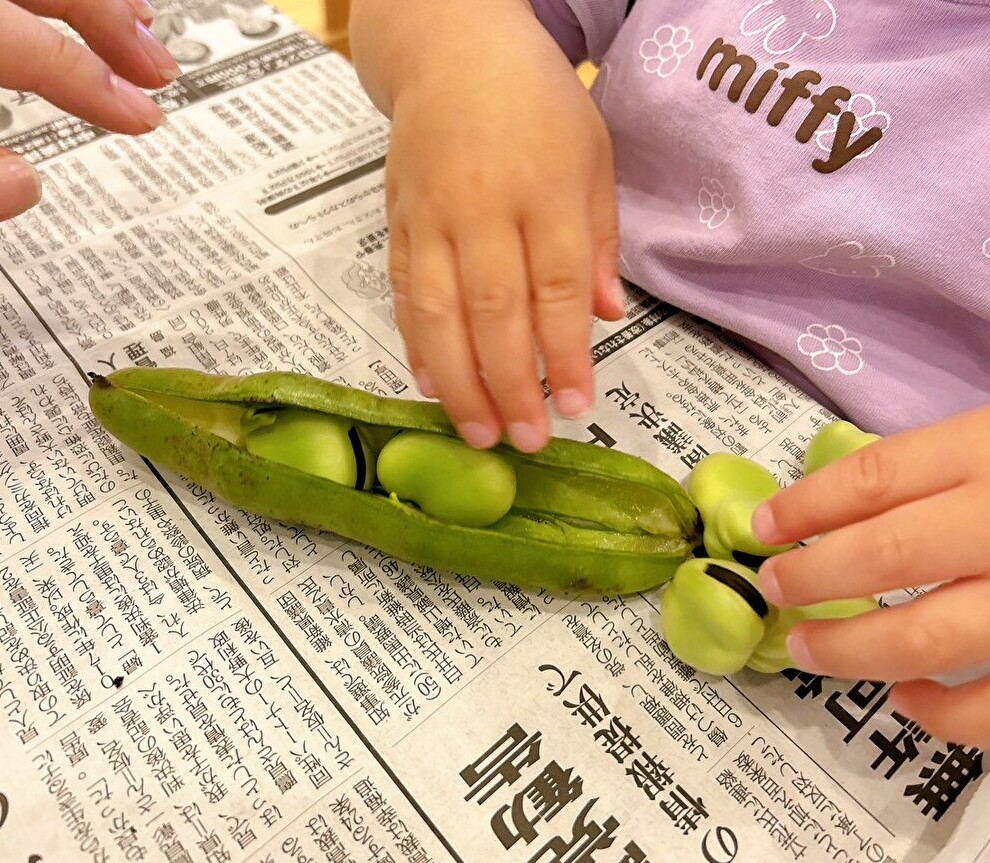 ☆食育～そらまめの観察～☆