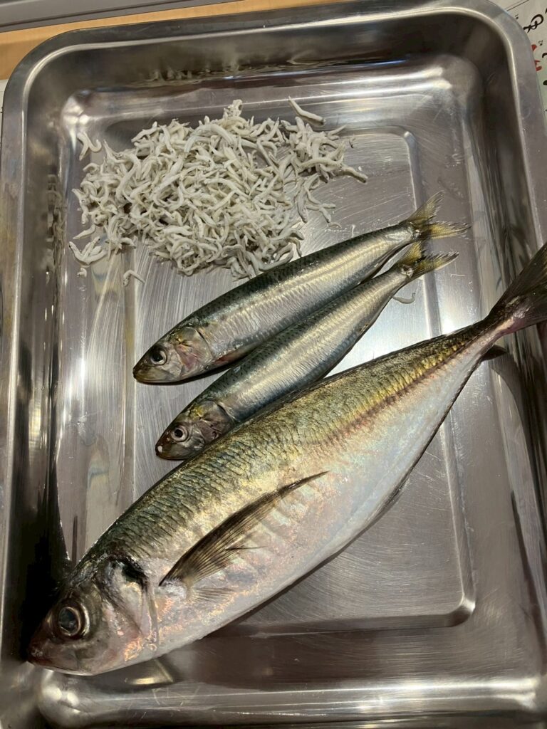 ☆食育～魚の観察～☆