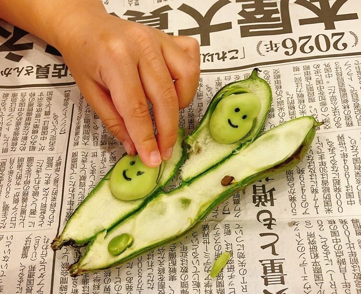☆食育～そら豆の観察～☆