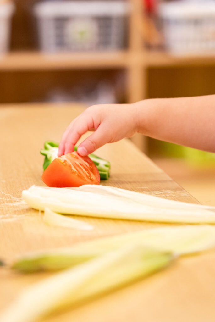 夏野菜に触れてみよう🌽